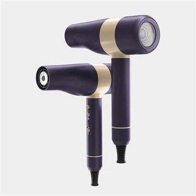 Secador de pelo profesional portátil para salón